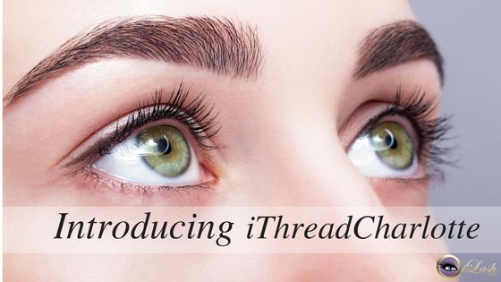 Lush Lashes and Beautiful Brows!